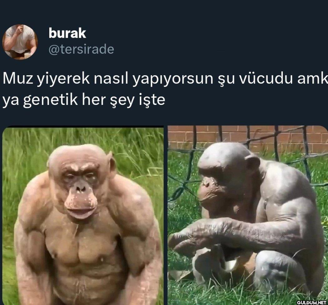 Muz yiyerek nasıl...
