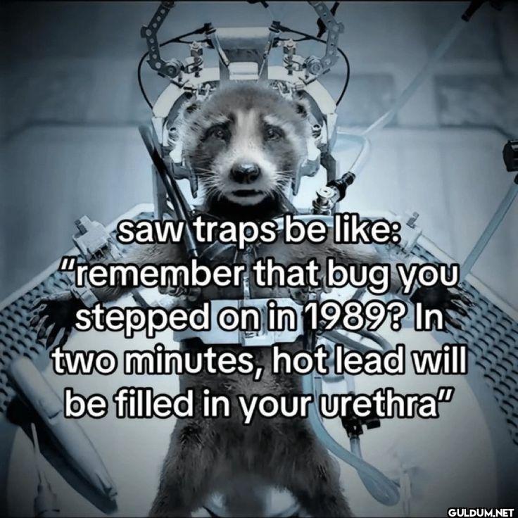 saw traps be remember that...