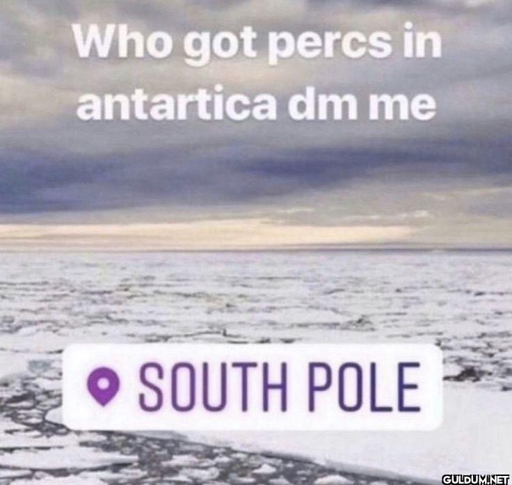 Who got percs in antartica...