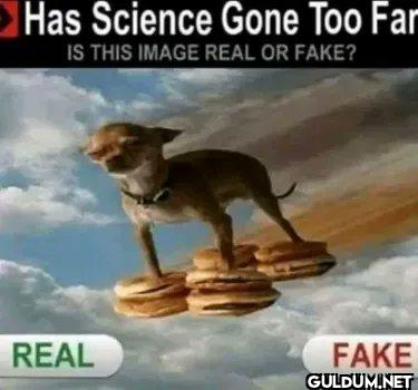 Has Science Gone Too Far...