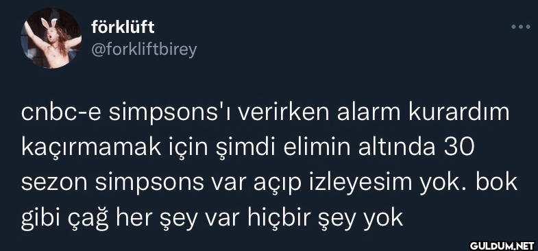 cnbc-e simpsons'ı verirken...