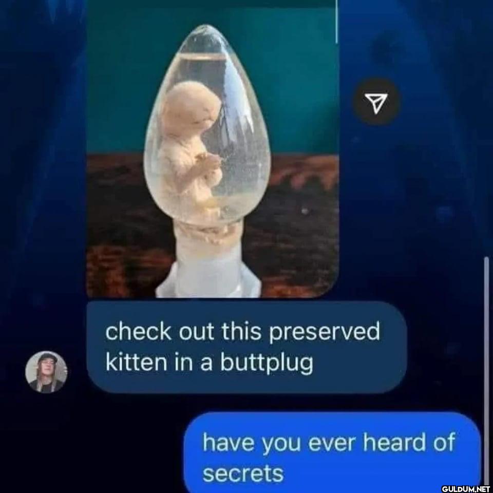 check out this preserved...