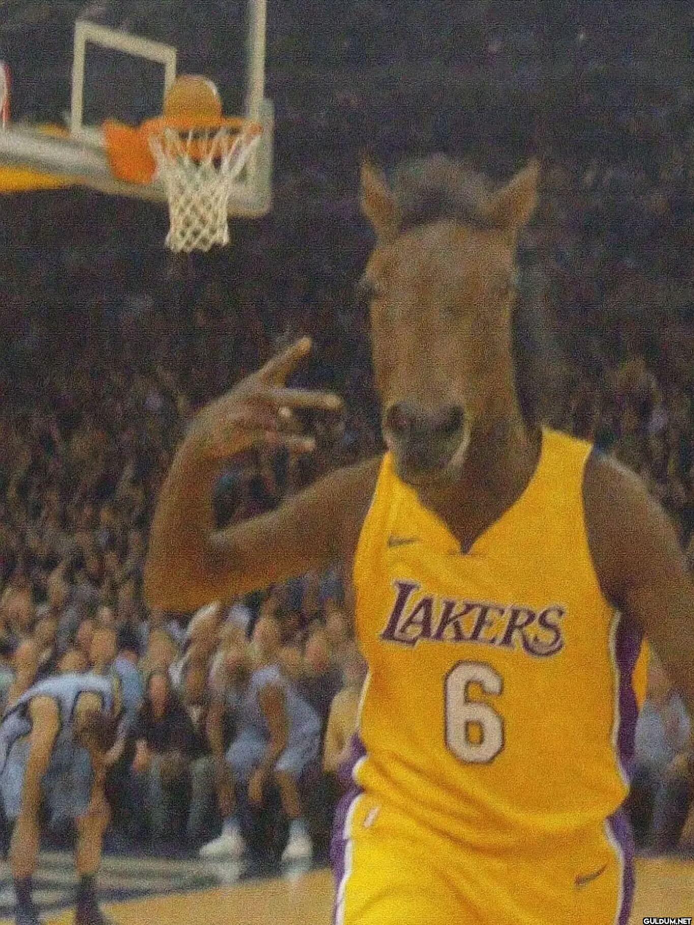 LAKERS 6