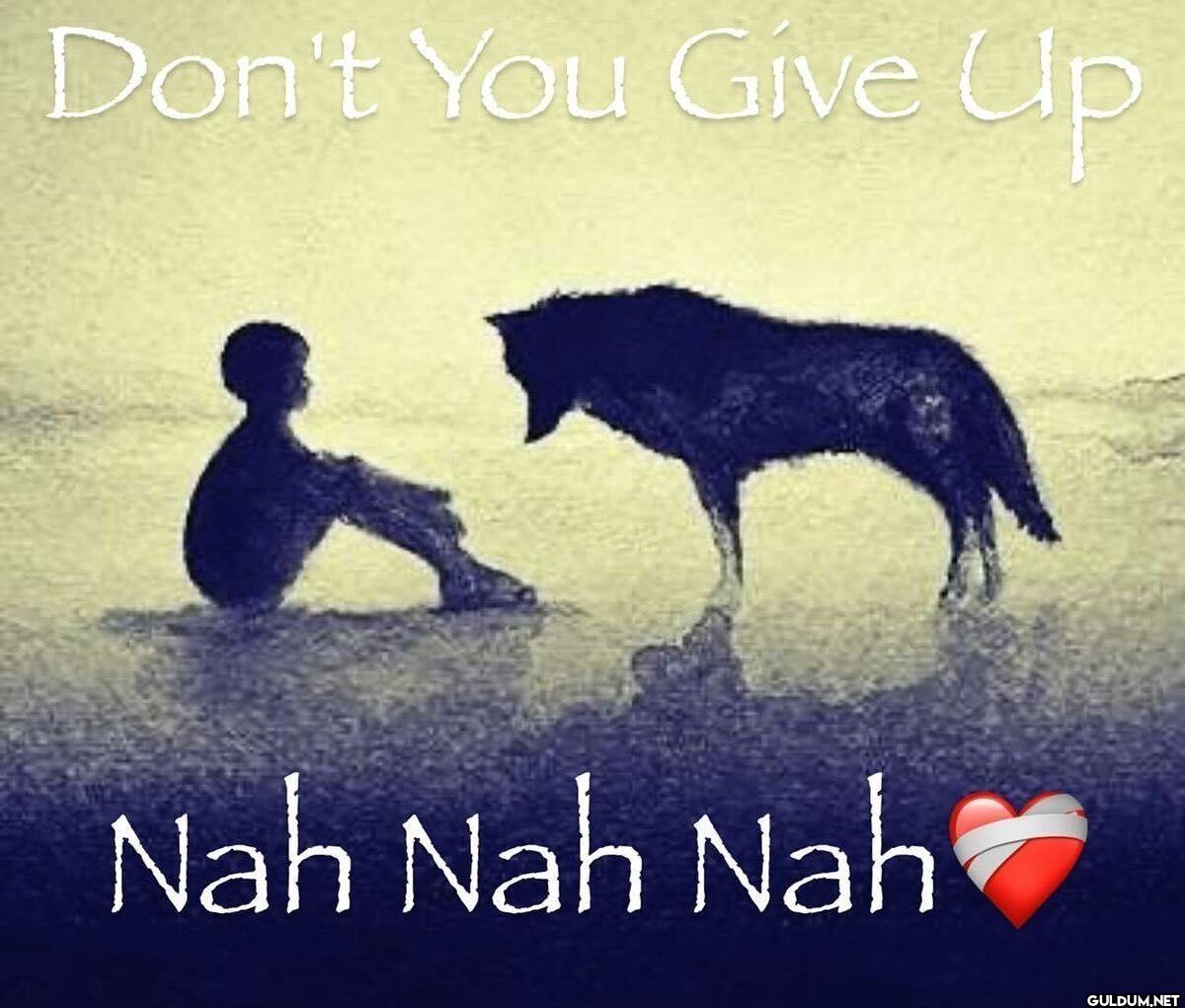 Don't You Give Up Nah Nah Nah