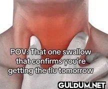 POV That one swallow that...