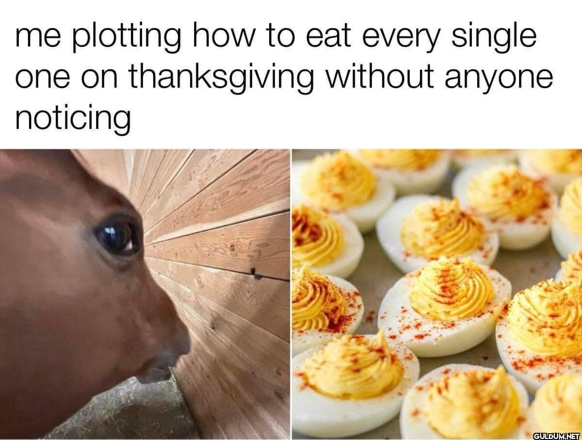 me plotting how to eat...