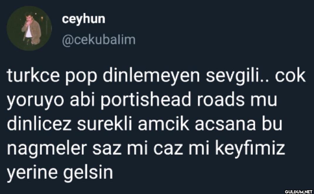 turkce pop dinlemeyen...