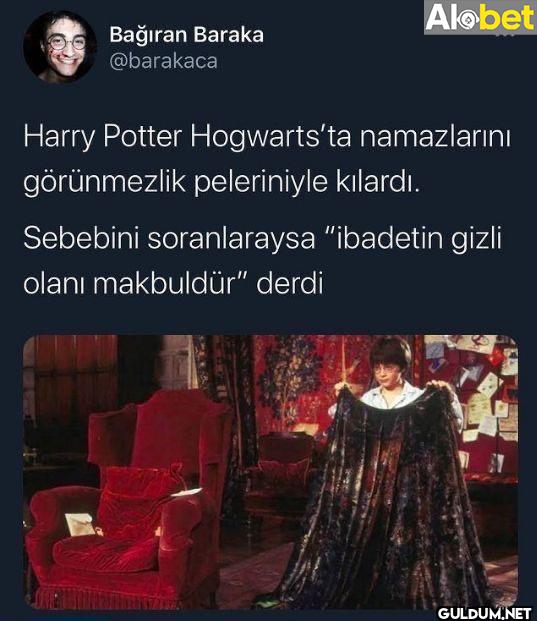 Harry Potter Hogwarts'ta...