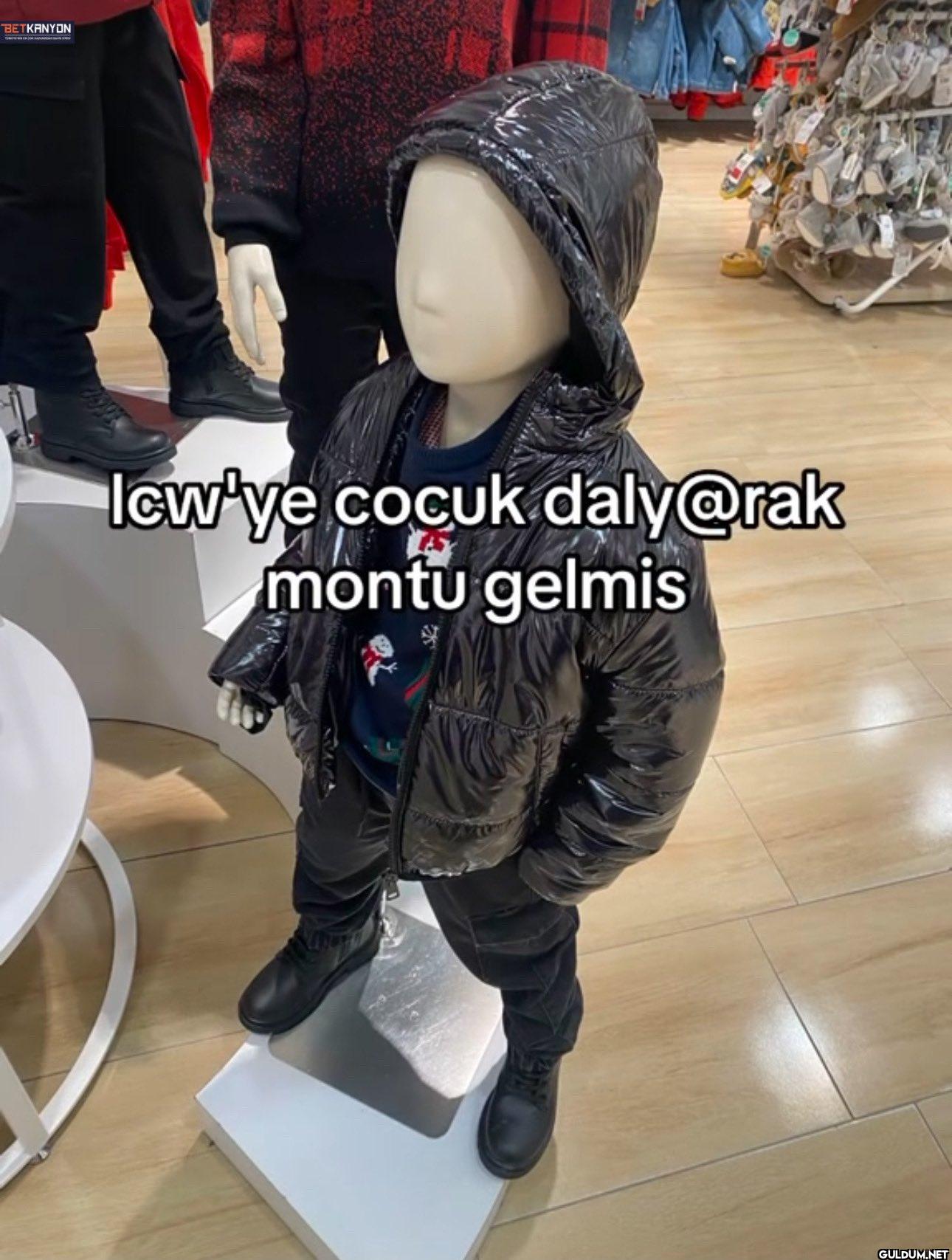 montu gelmis