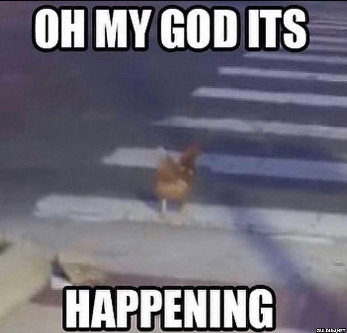 OH MY GOD ITS HAPPENING