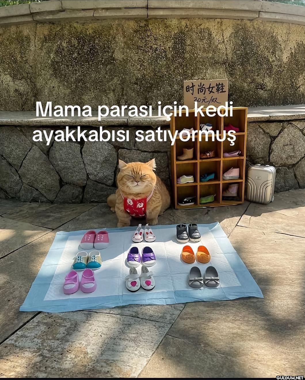 * 时尚女鞋 30元/双 Mama parası...