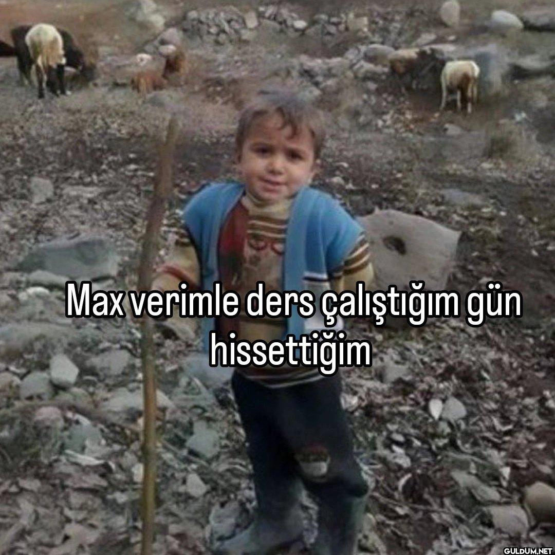 Max verimle ders...