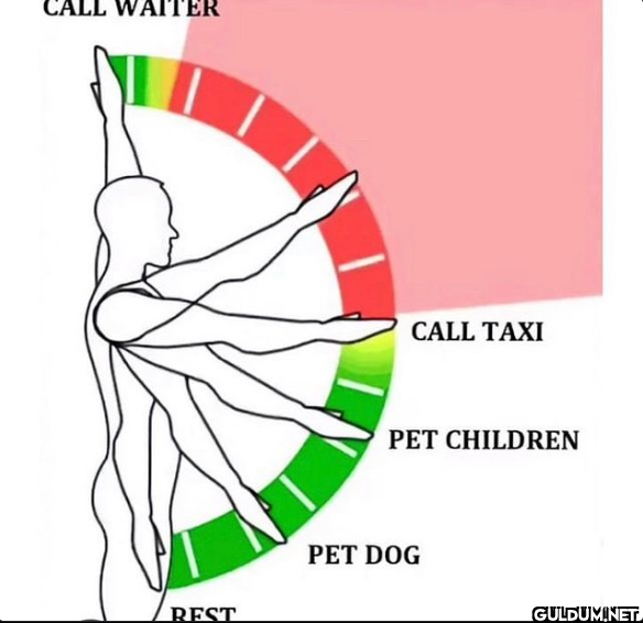WAITER REST CALL TAXI PET...