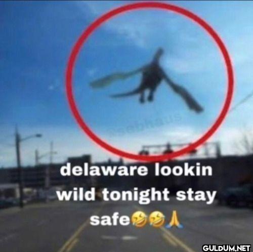 delaware lookin wild...