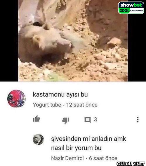 kastamonu ayısı bu Yoğurt...