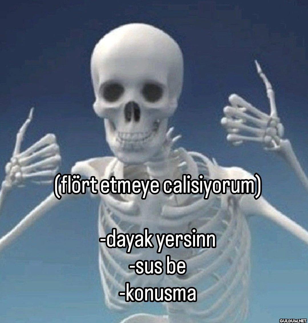 (flört etmeye calisiyorum)...