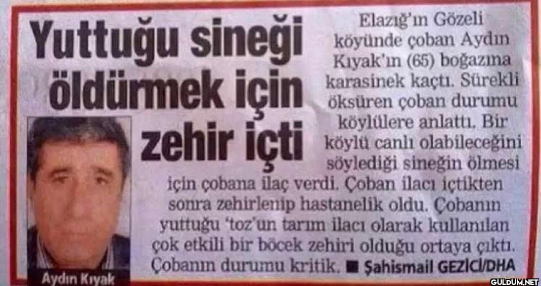 Yuttuğu sineği öldürmek...