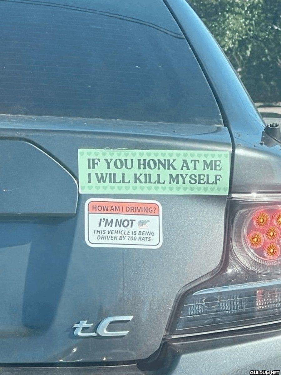 IF YOU HONK AT ME I WILL...