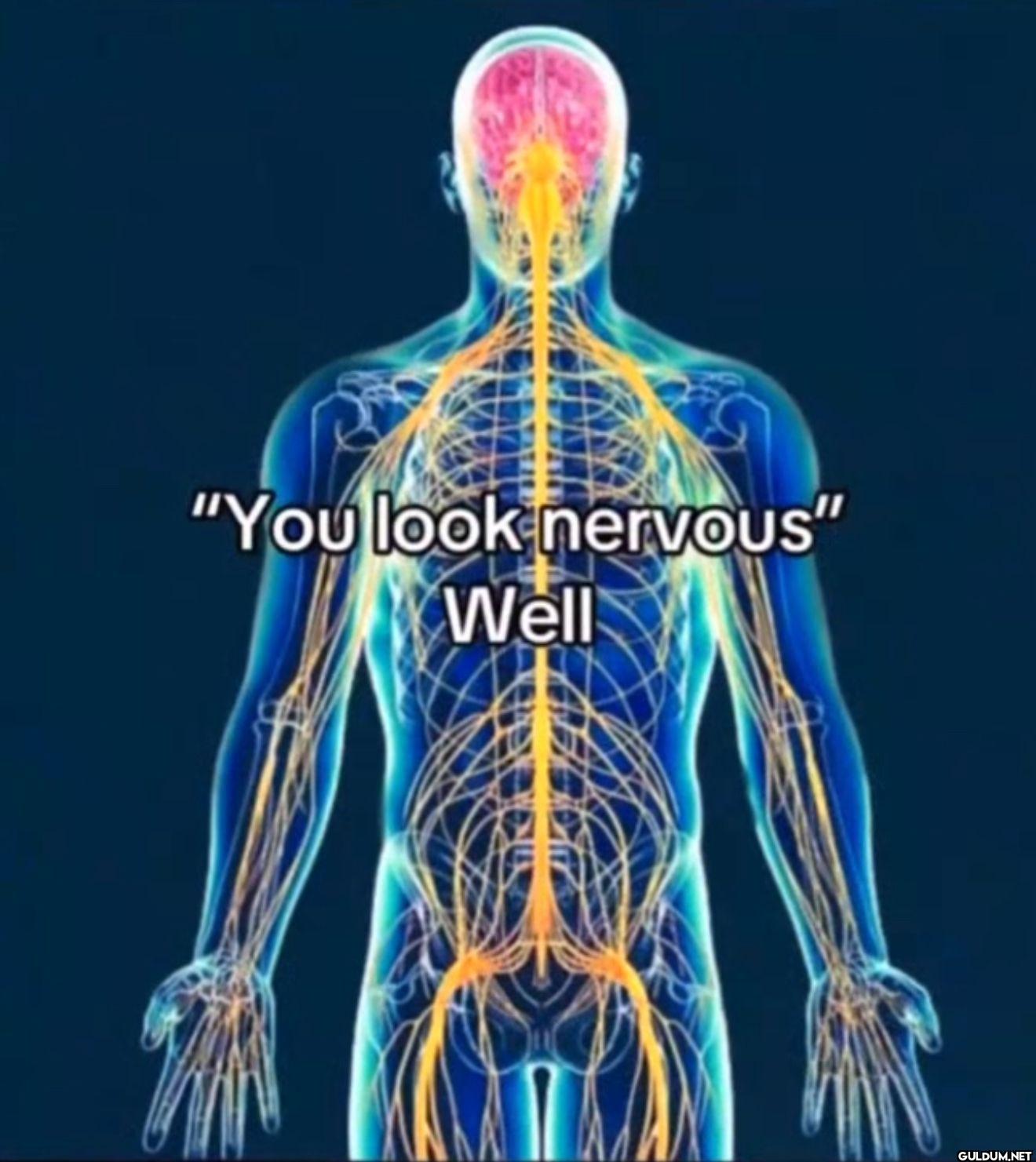 "You look nervous" Well