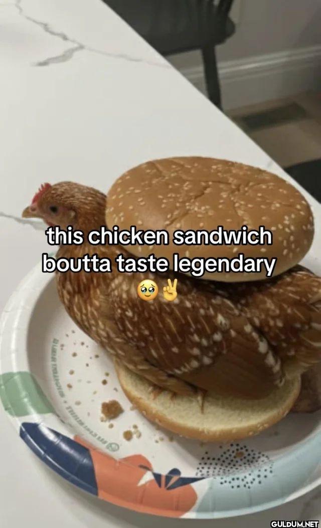 this chicken sandwich...