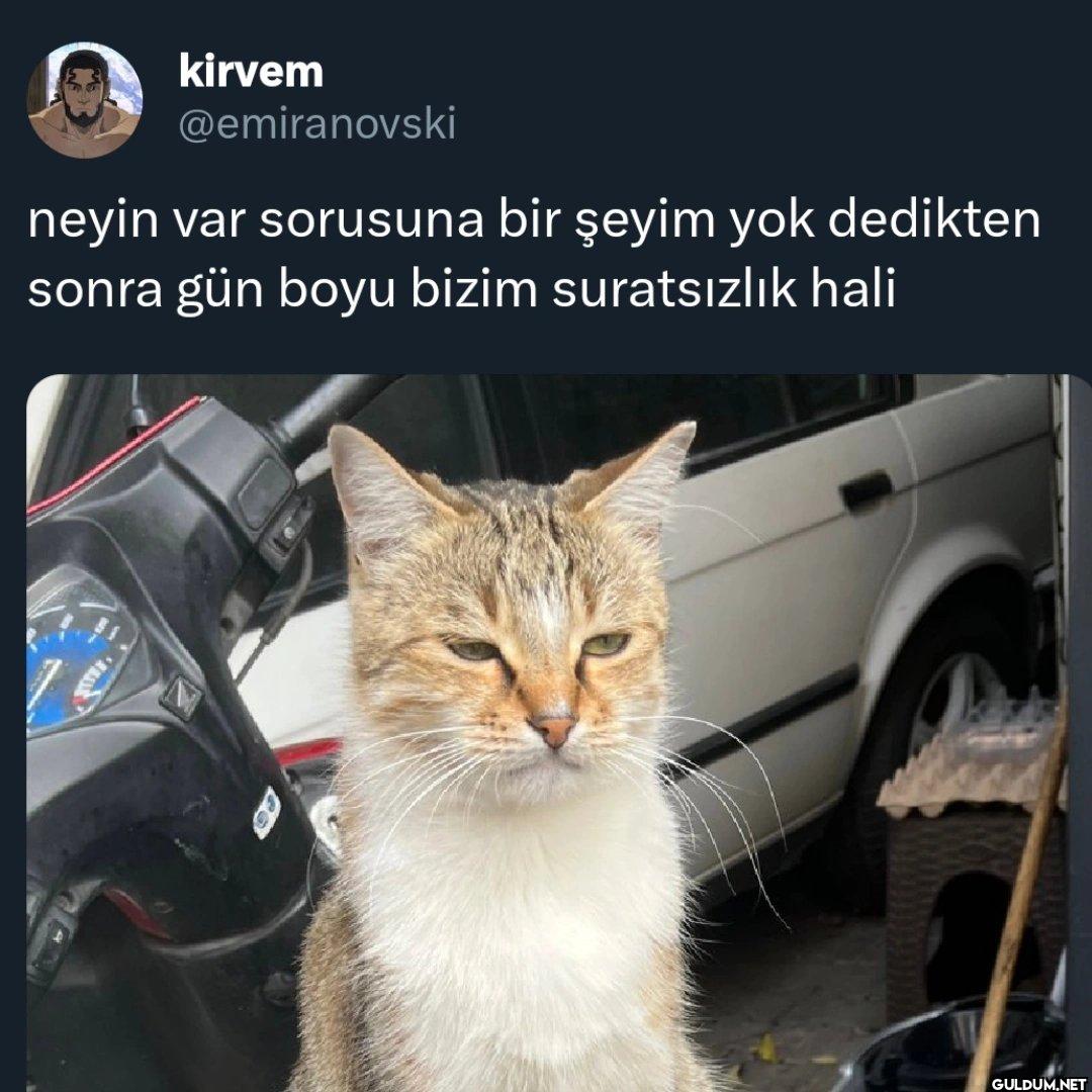 neyin var sorusuna bir...