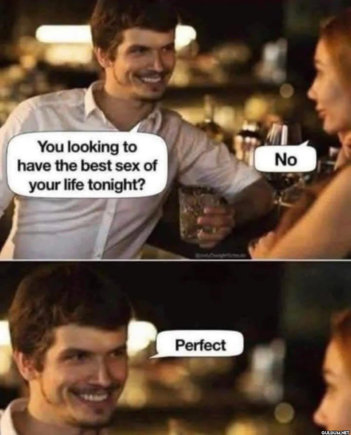 Perfect🤣    You looking to...