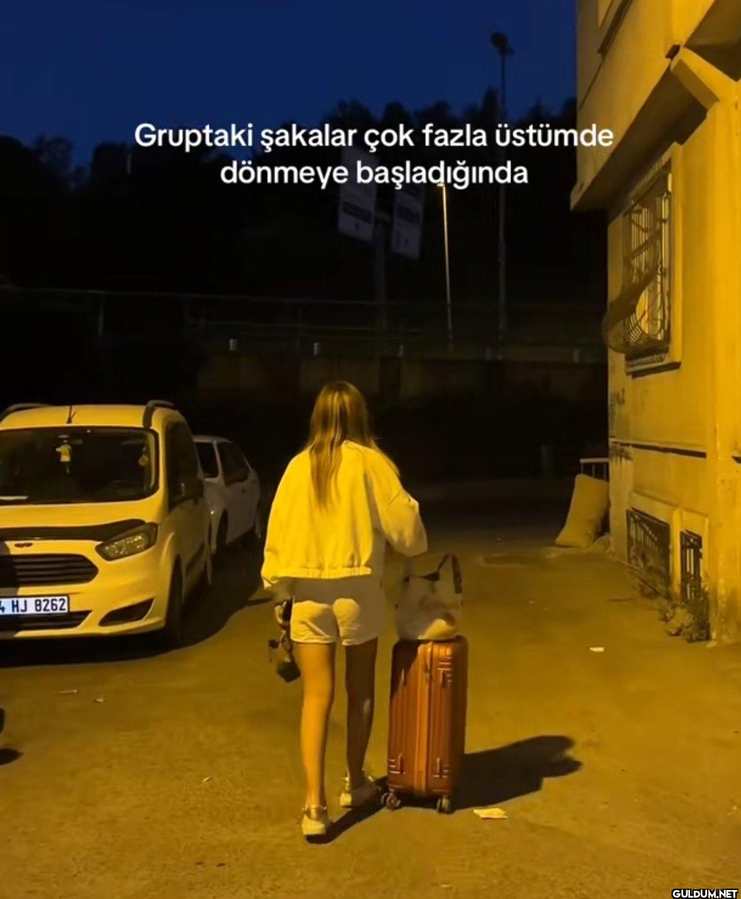 HJ 8262 Gruptaki Şakalar...
