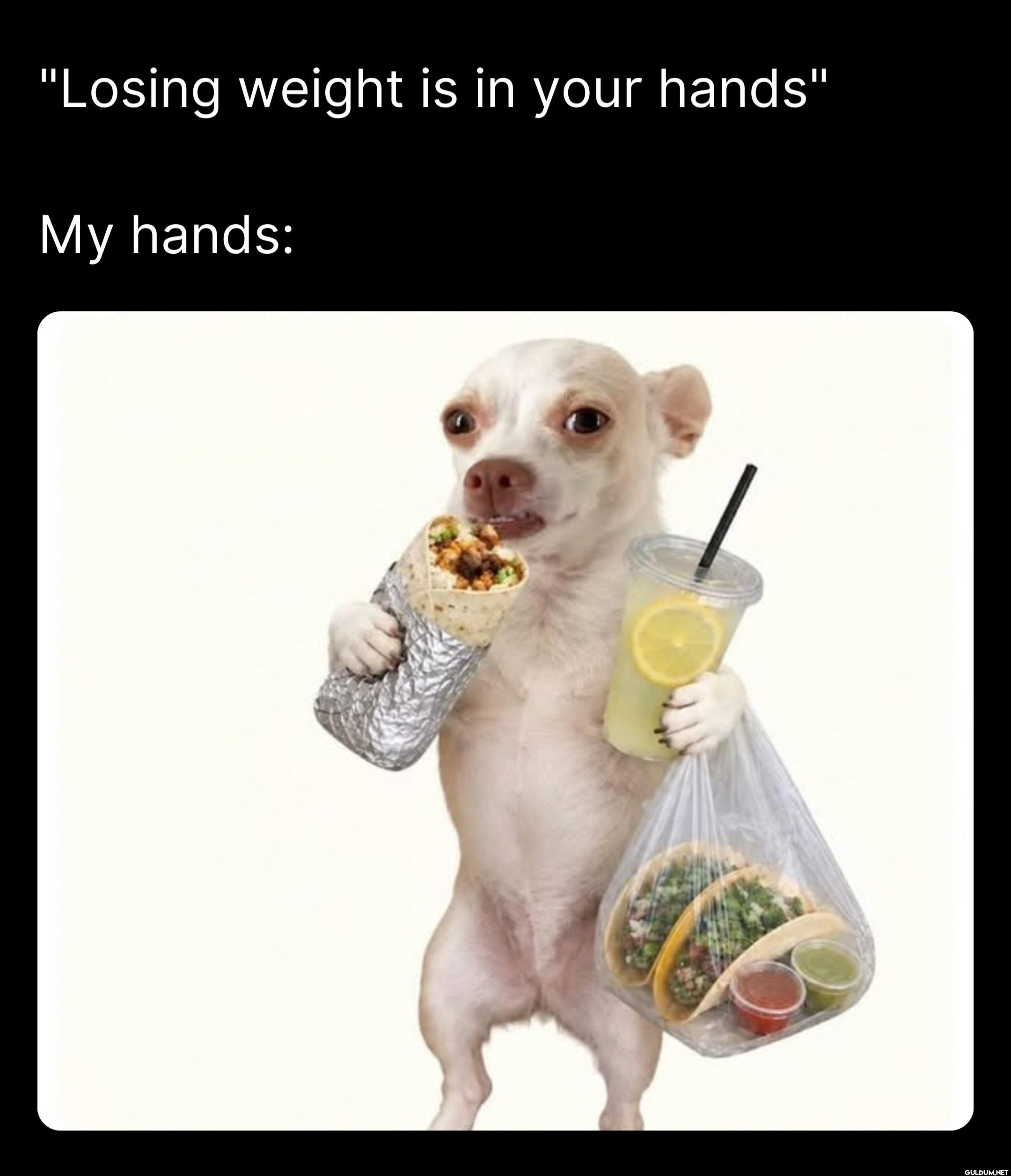 Losing weight is in your...