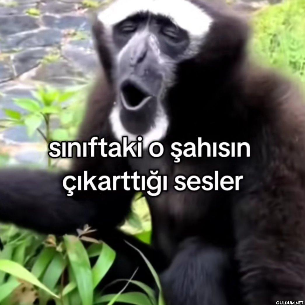 Sınıftaki o şahısın...
