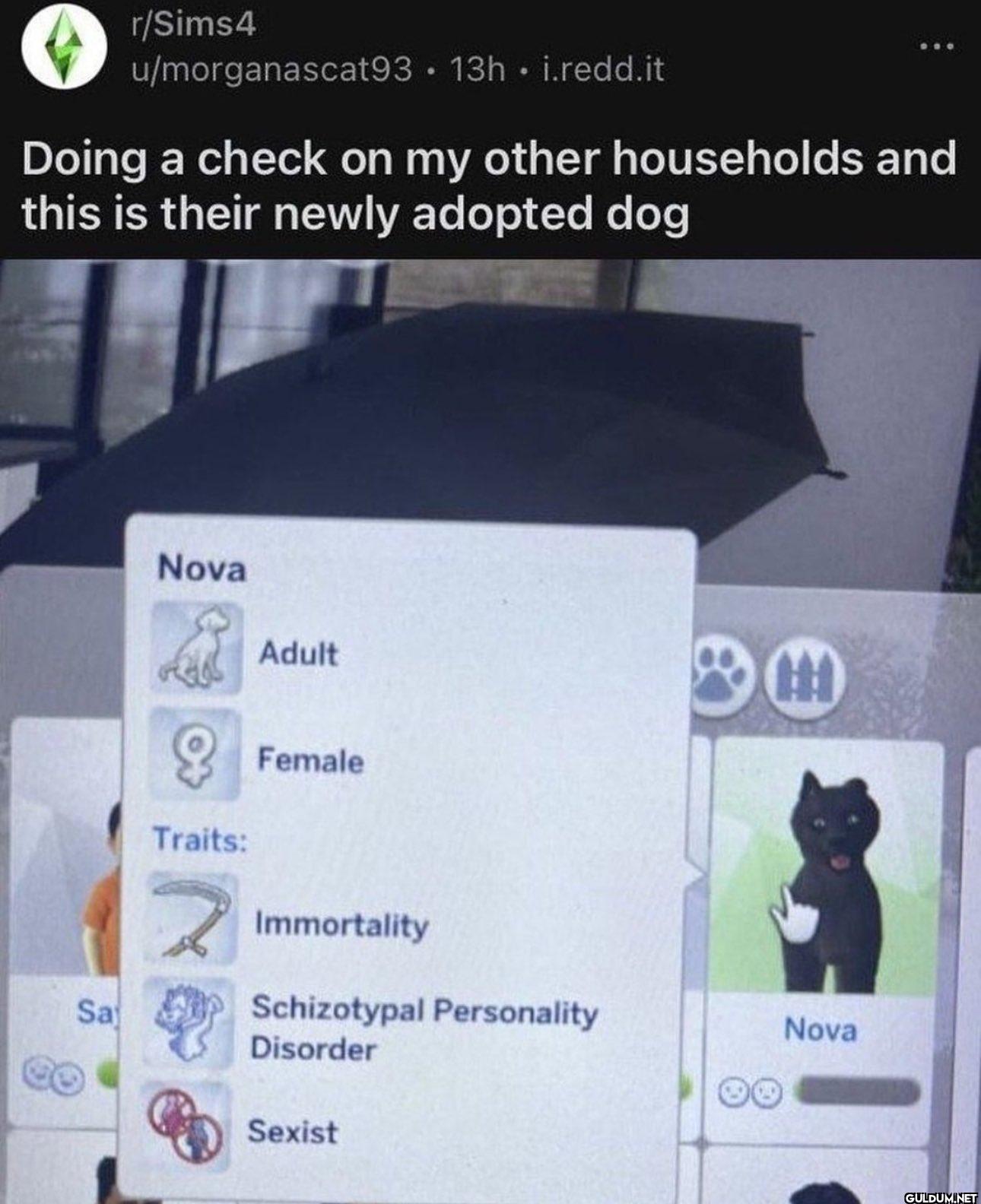 r/Sims4 u/morganascat93...