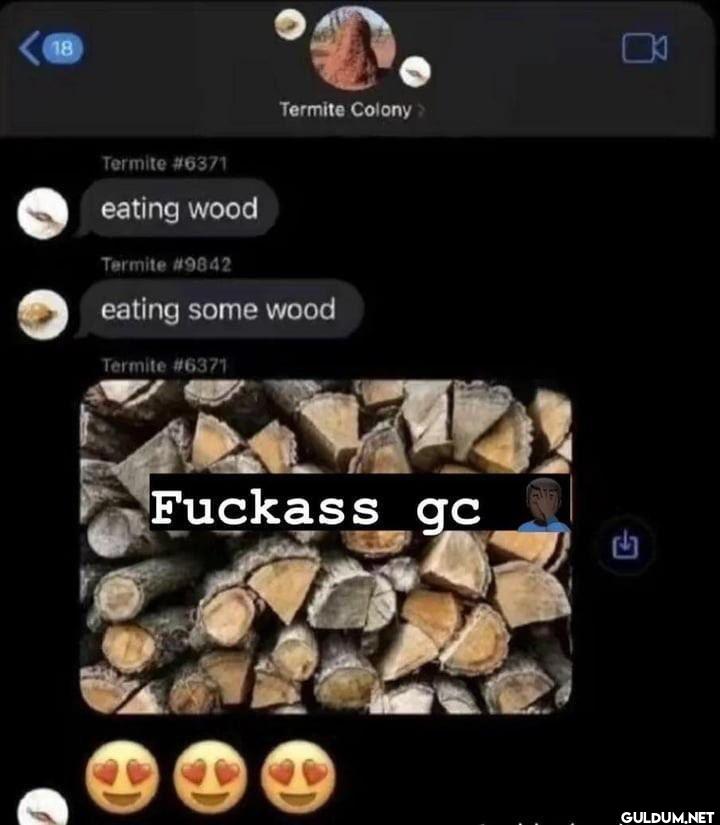 18 Termite Colony >...