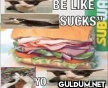 YO BE LIKE SUCKS
