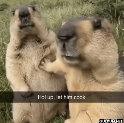Hol up, let him cook