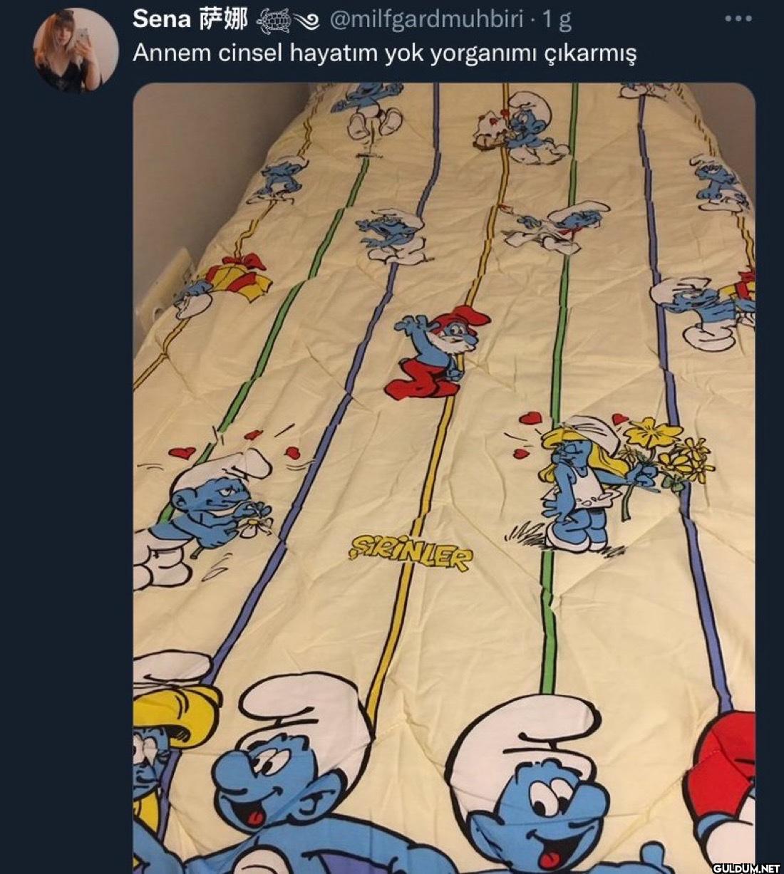 - 1 g Annem cinsel hayatım...