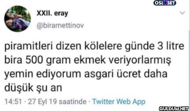 piramitleri dizen kölelere...