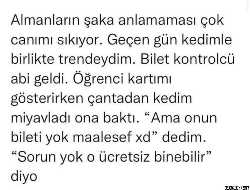 Çıldırırsın ahskdlldld   ...