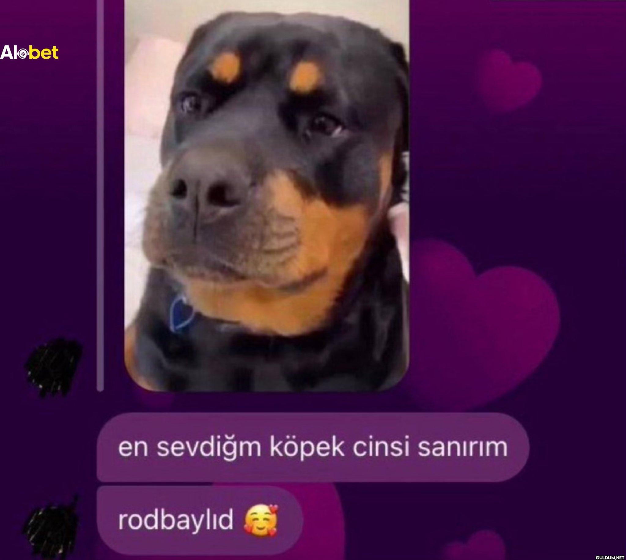 ???    Alobet en sevdiğm...