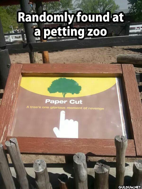 Randomly found at a...