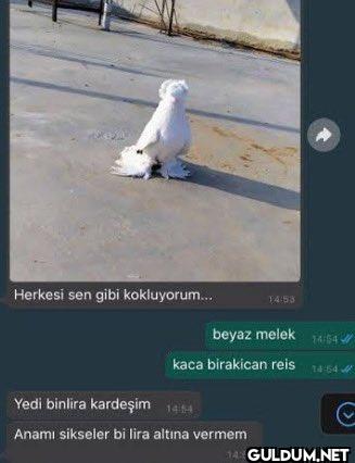 Şunu atmalıydı Herkesi sen...
