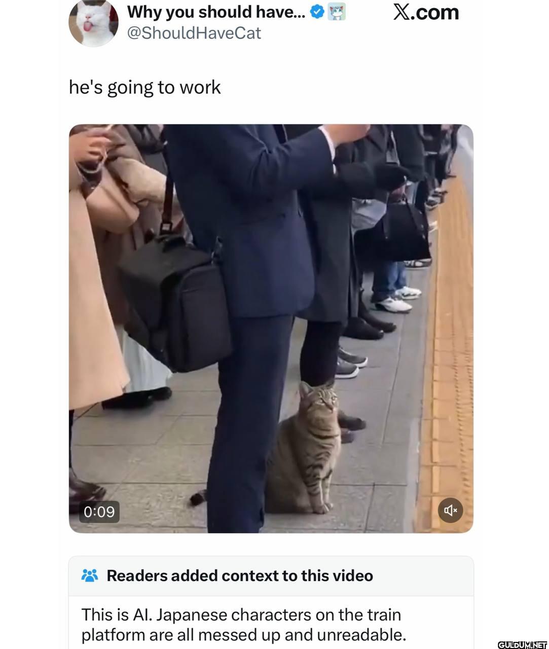 This is AI    Why you...