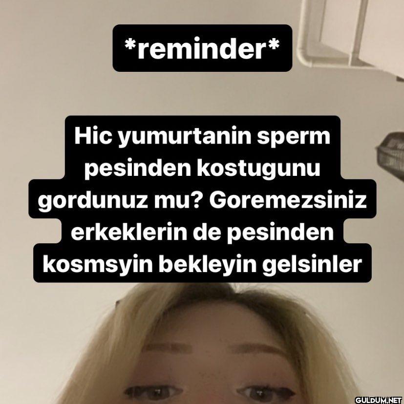 *reminder* Hic yumurtanin...