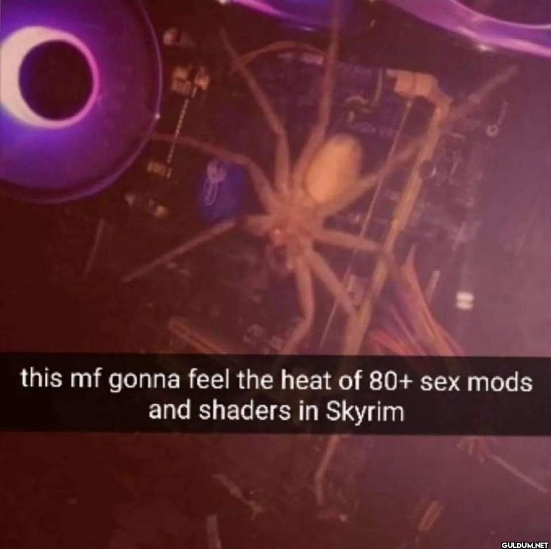 80001 this mf gonna feel...