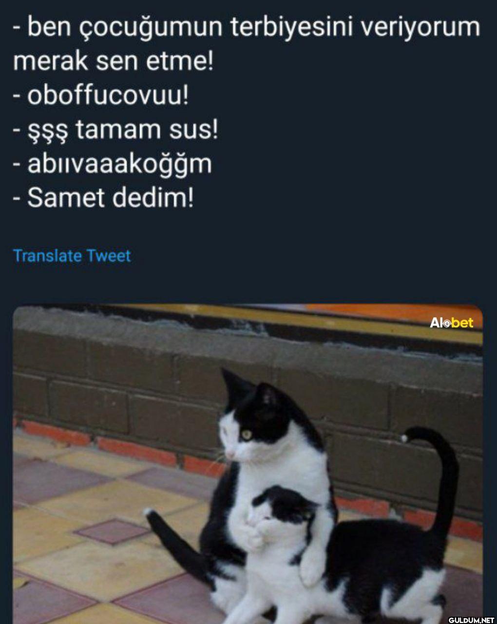 - ben çocuğumun...
