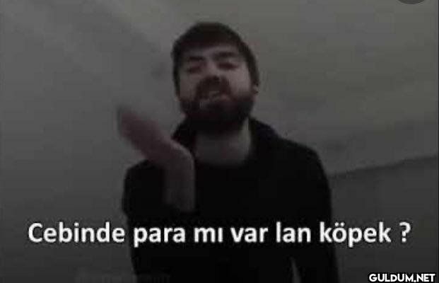Cebinde para mi var lan köpek ?