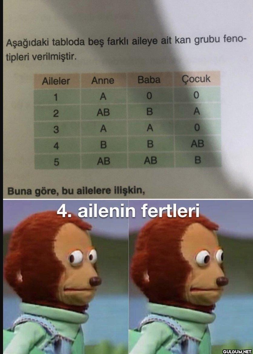 Aşağıdaki tabloda beş...