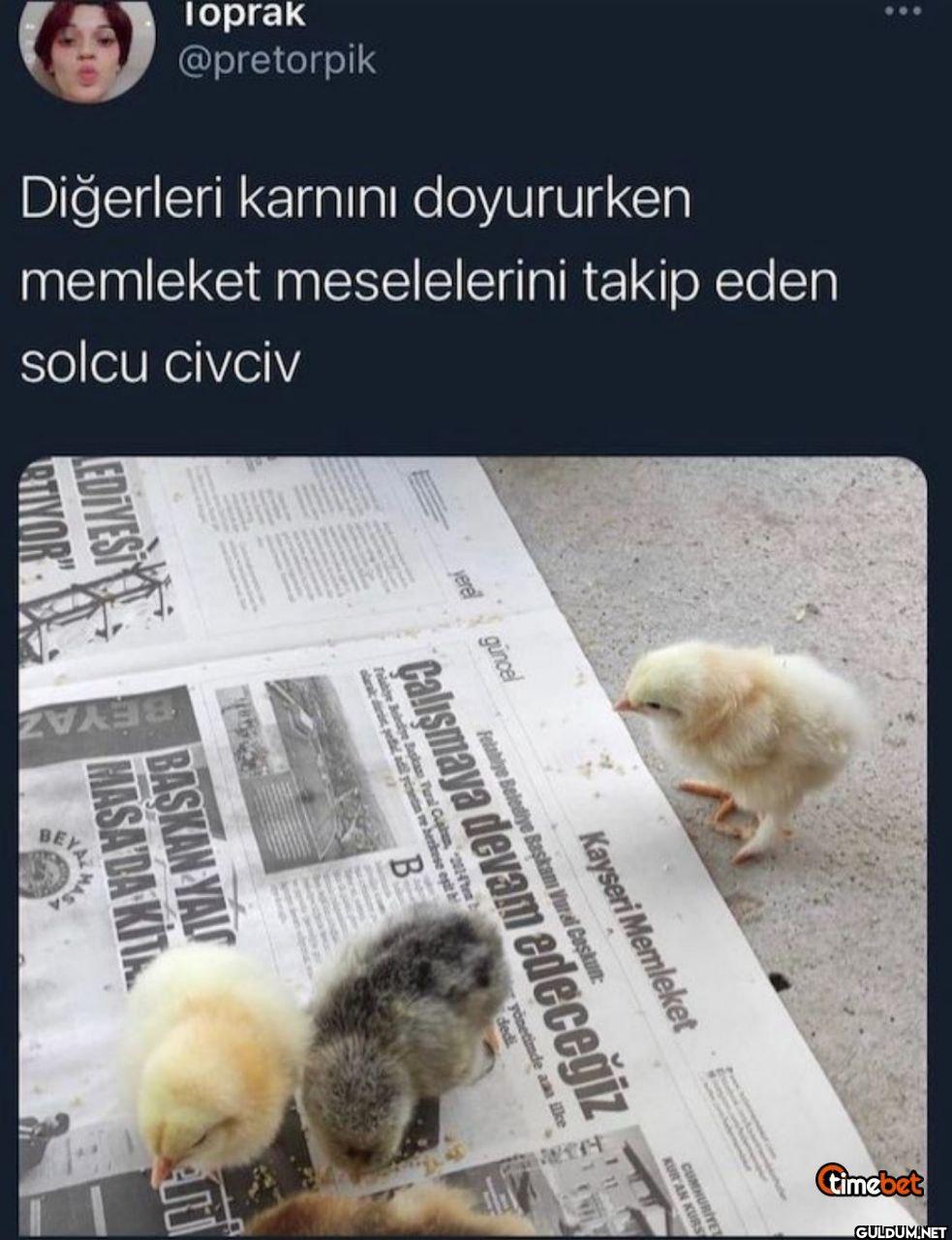 Toprak memleket...