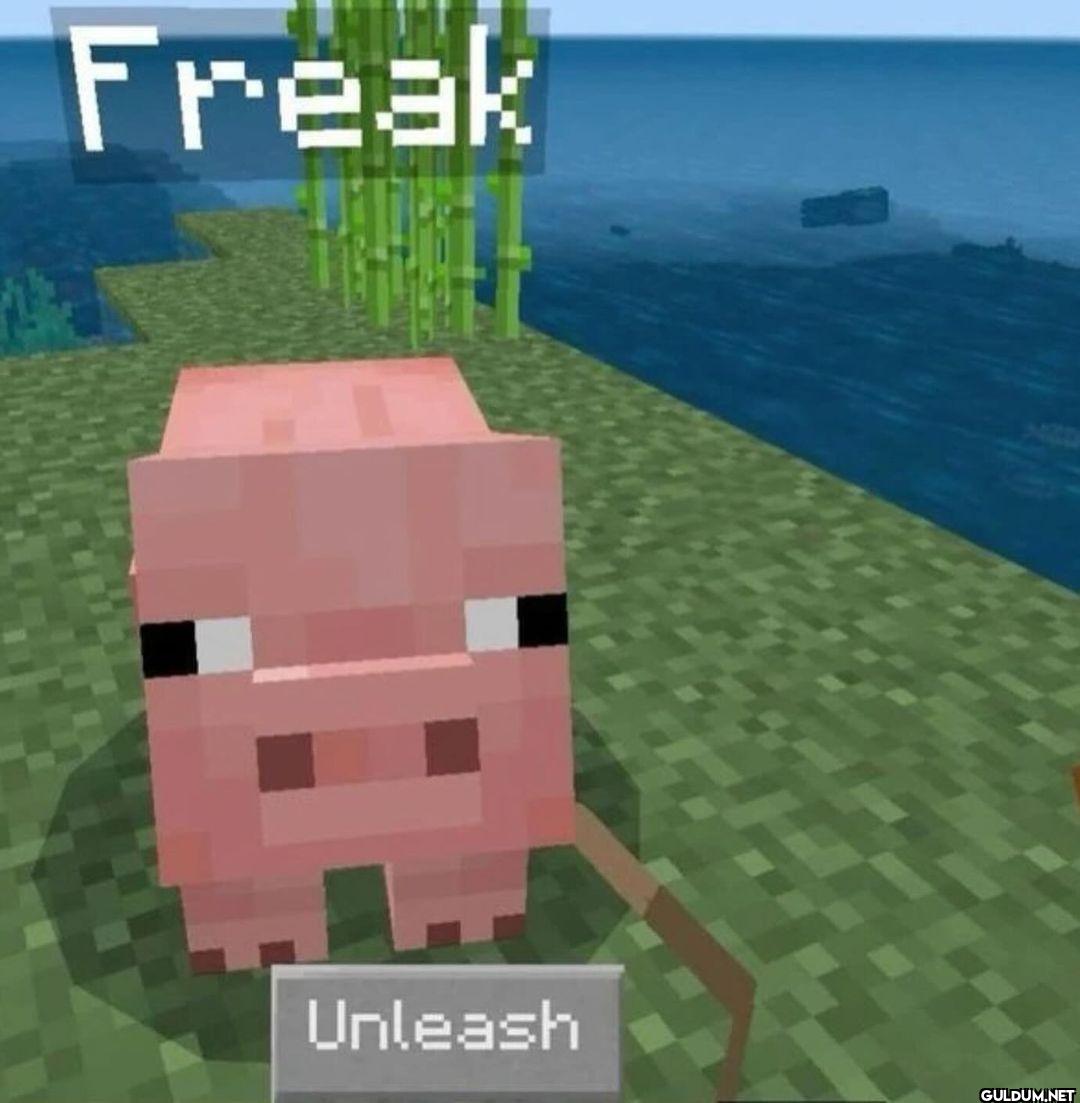 Freak Unleash