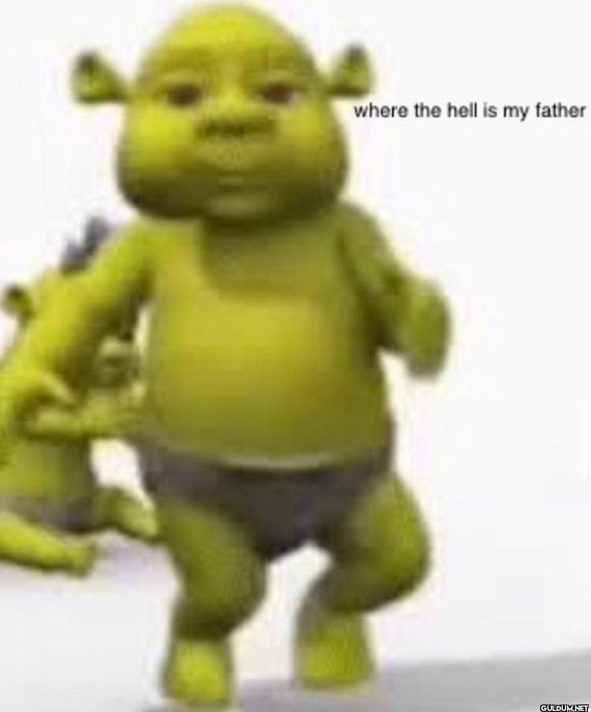 where the hell is my father