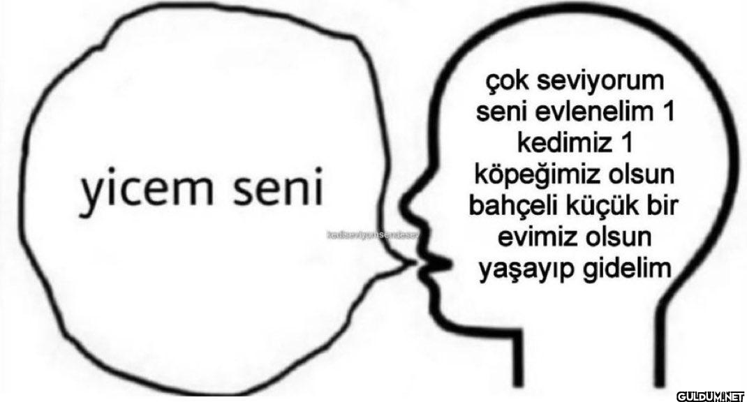 yicem seni çok seviyorum...