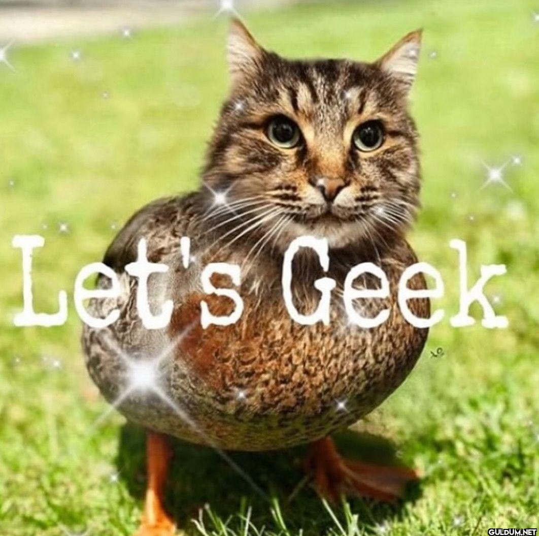 Let's Geek